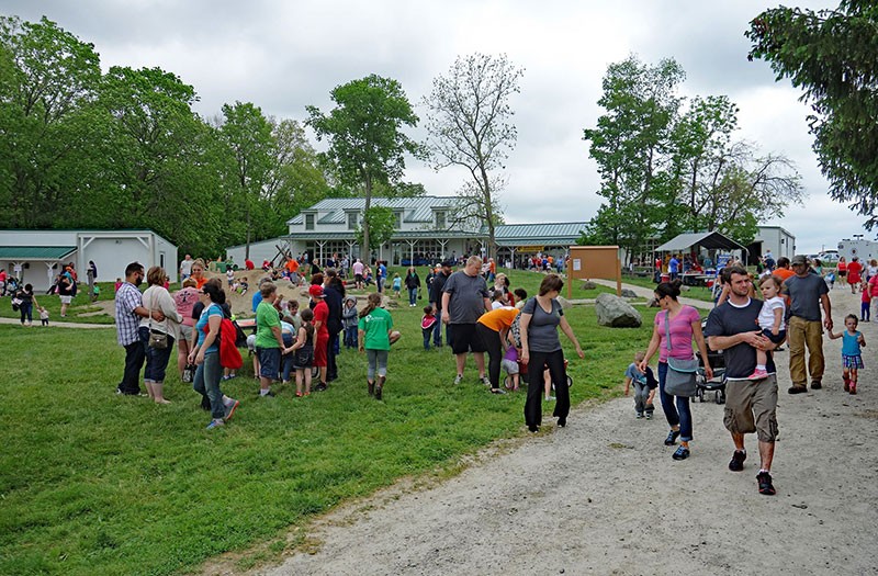 Aullwood's Farm Babies Fest