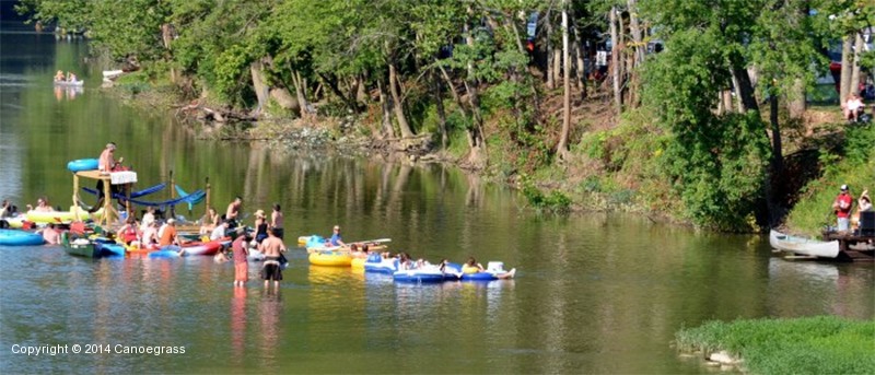 Canoegrass