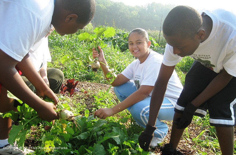 Five Rivers MetroParks’ summer program City Beets