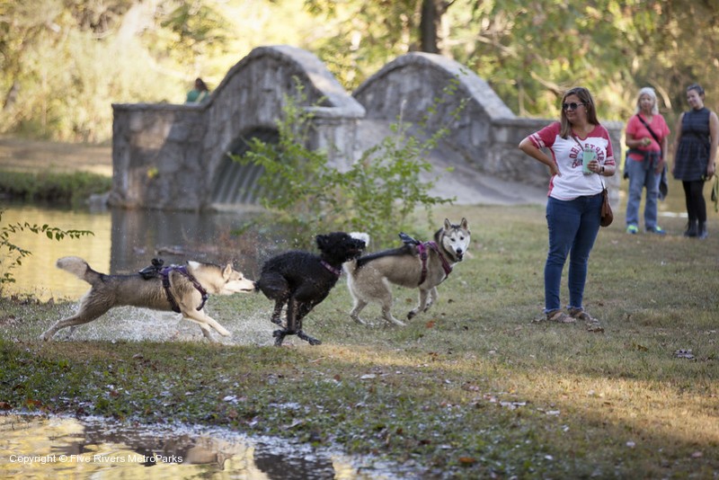 Outdoor Experience is a Dog Friendly event!