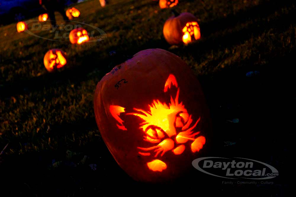 Stoddard Avenue Pumpkin Glow