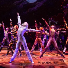 CATS at the Schuster Center today through Nov 28