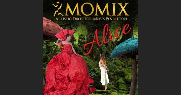 MOMIX: Alice