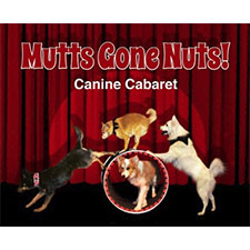 Mutts Gone Nuts