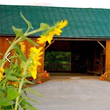 Family Fun @ Adventure Acres