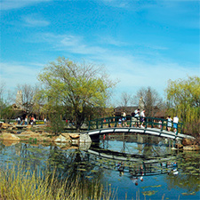 Tree Tram Tours @ Cox Arboretum