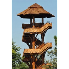 Tree Tower Grand Opening @ Cox Arborteum