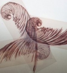 Elizabeth Turk: Wings Exhibit