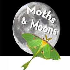Five Rivers Metroparks Moths & Moons Event