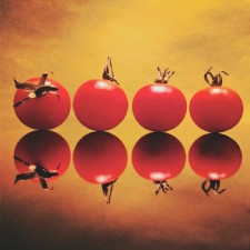 Beyond Point & Shoot Photo Contest