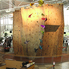 FREE Wall Night at Vandalia Recreation Center - suspended