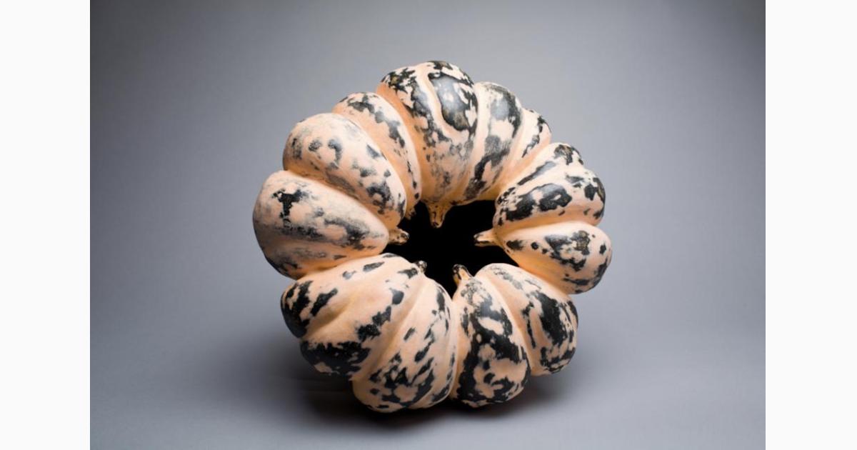 Captivating Clay: Contemporary Japanese Ceramics from the Horvitz Collection