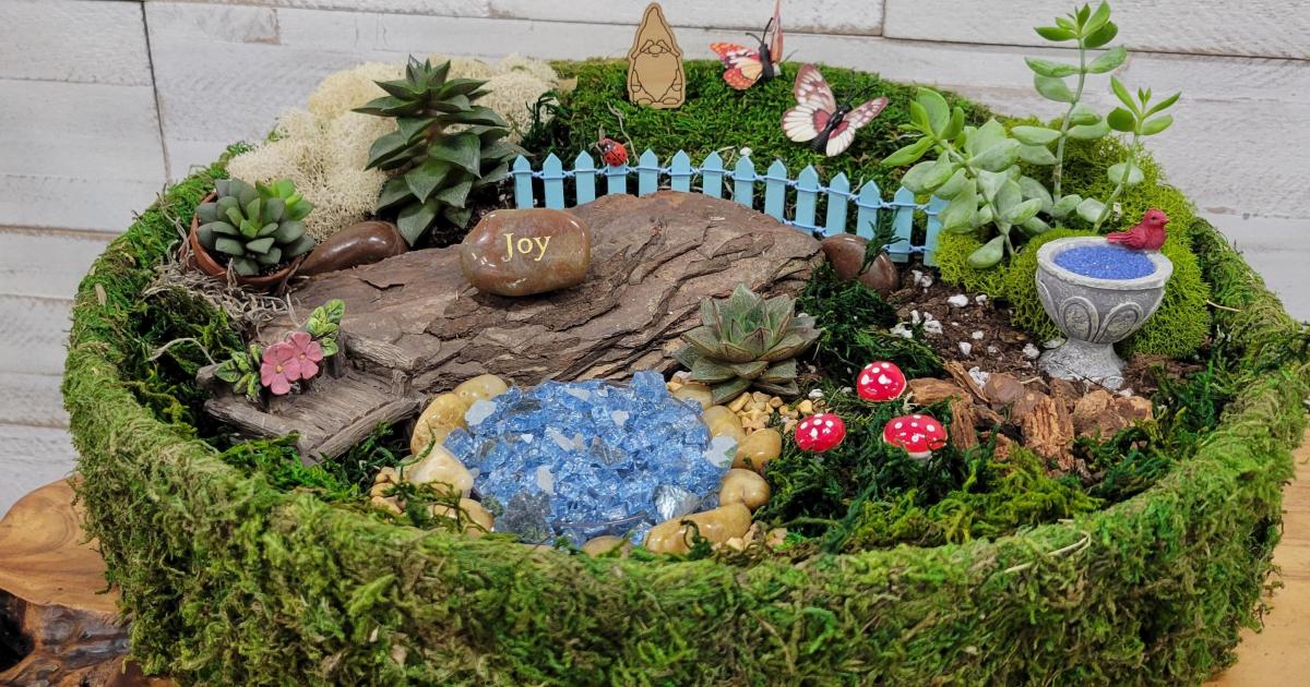 Cottagecore Fairy Garden & Terrarium Workshop