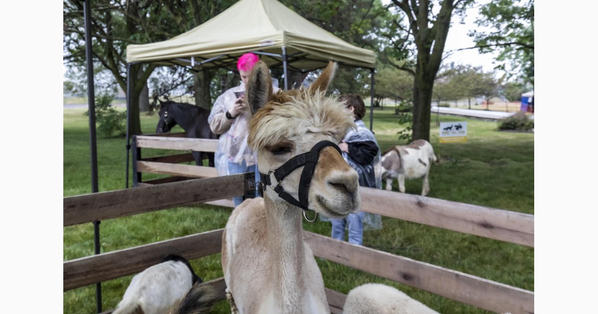 2024 Jewish Cultural Festival
