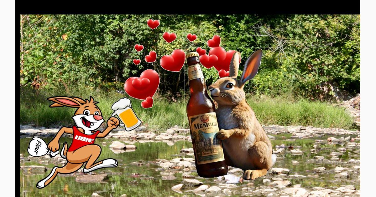 DH4 #1588 National Ca"Noodle"ing Day Hash (Run/Walk)