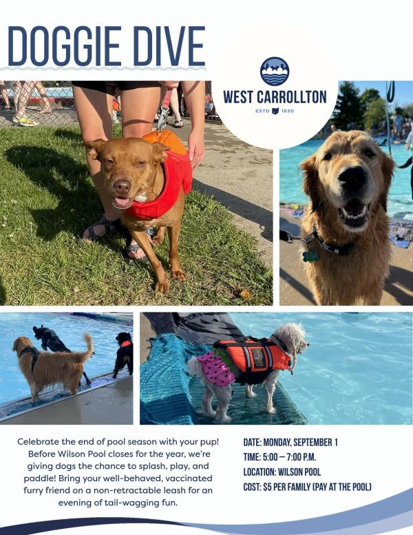 Doggie Dive City of West Carrollton at Wilson Pool