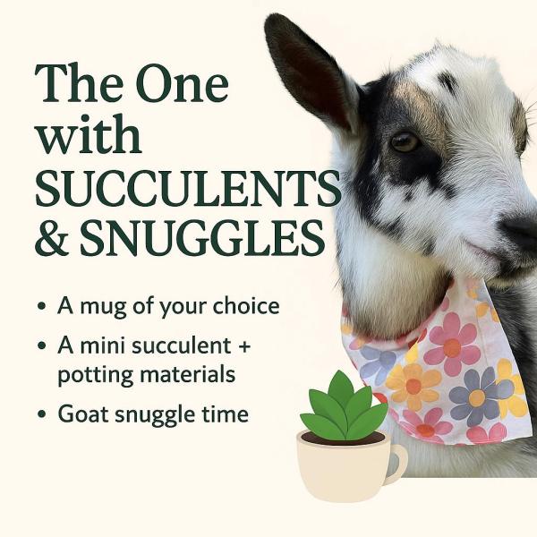 The One with Succulents & Snuggles