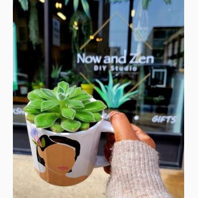 Succulent in a Mug