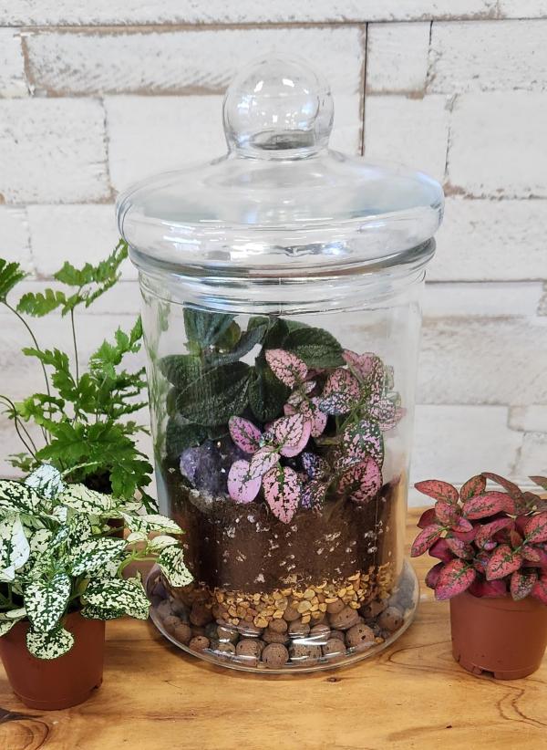 Date Night Terrarium Workshop
