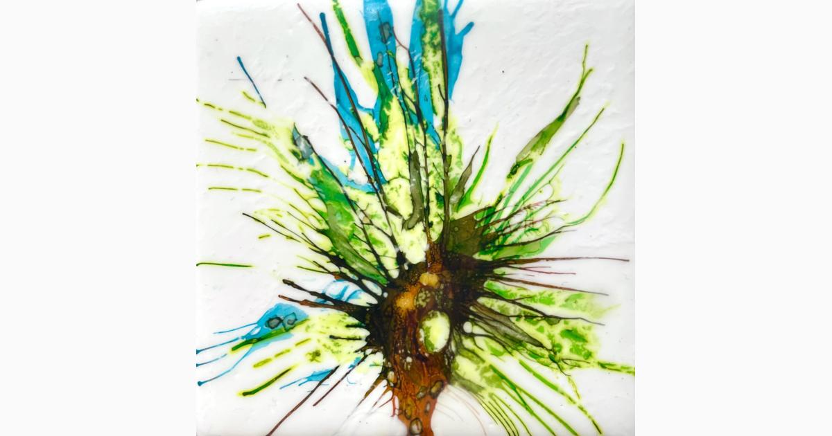 Member's Spotlight Exhibition: Lori Daugherty: Bold Whispers