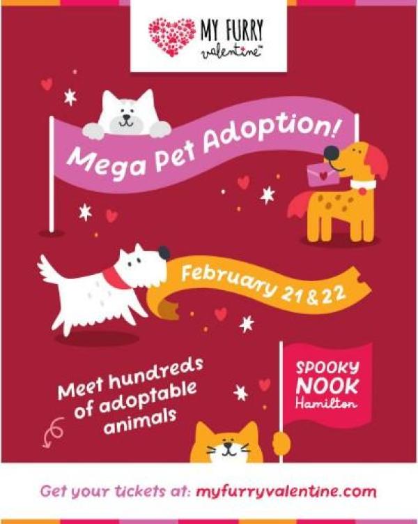 My Furry Valentine adoption event