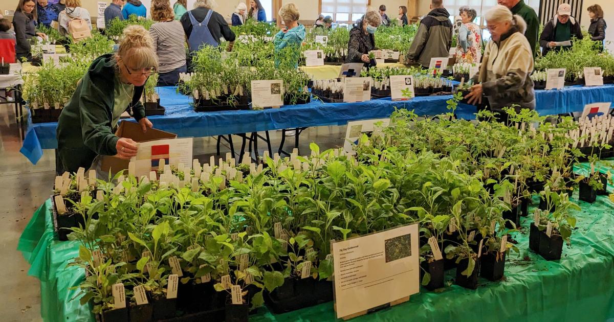 Aullwood Native Plant Sale