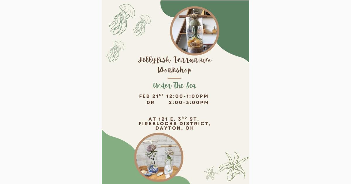 Jellyfish Terrarium Workshop
