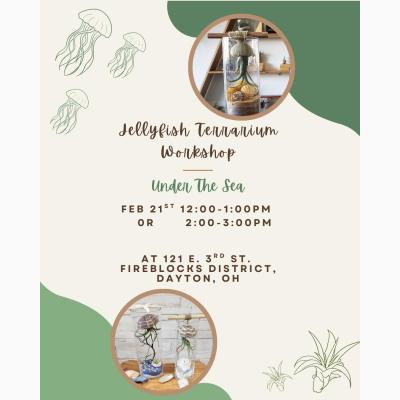 Jellyfish Terrarium Workshop