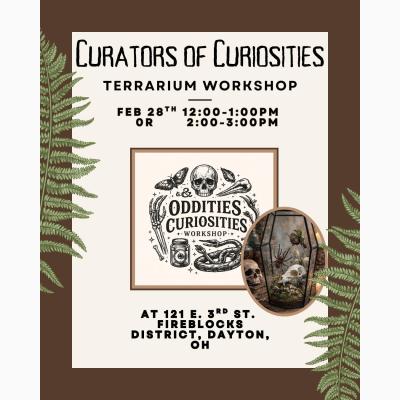 Curators of Curiosities Workshop