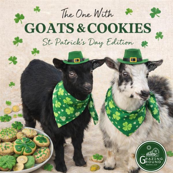 The One with Goats & Cookies
