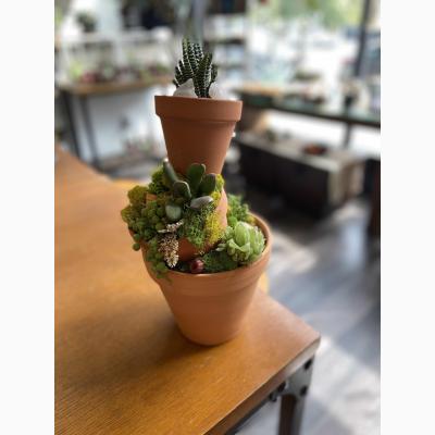 Terracotta Succulent Tower with Now and Zen DIY