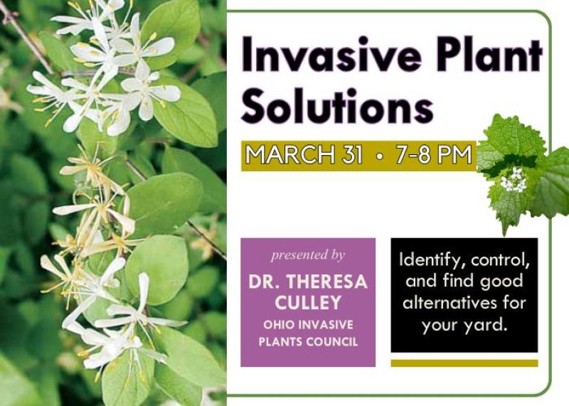 Invasive Plant Solutions