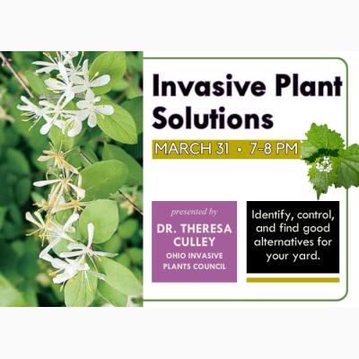 Invasive Plant Solutions