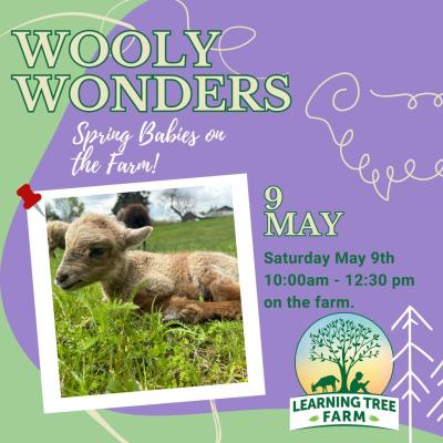 Wooly Wonders: Spring on the Farm!