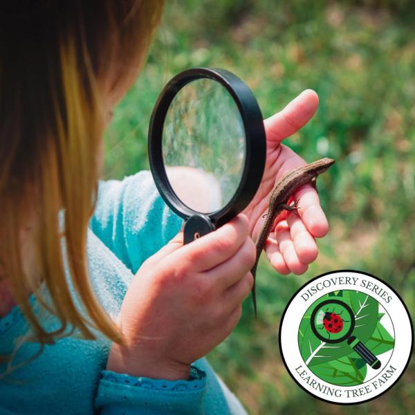 Learning Tree Farm Nature Preschool's Discovery Series