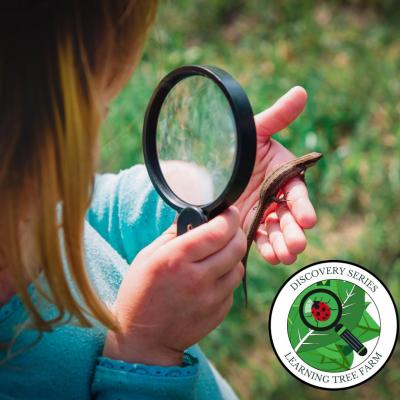 Learning Tree Farm Nature Preschool's Discovery Series