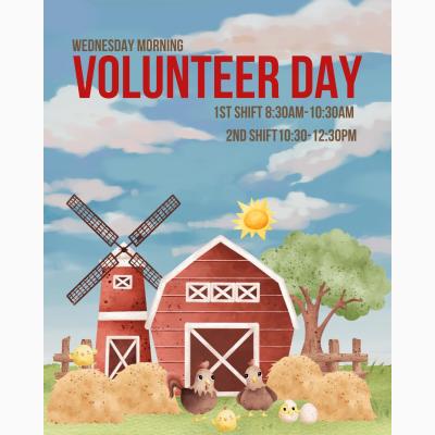 LTR Wednesday Morning Volunteering at the Farm!