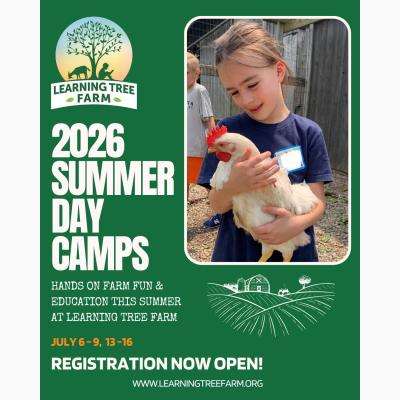 Mini & Junior Farmers Summer Day Camp at Learning Tree Farm