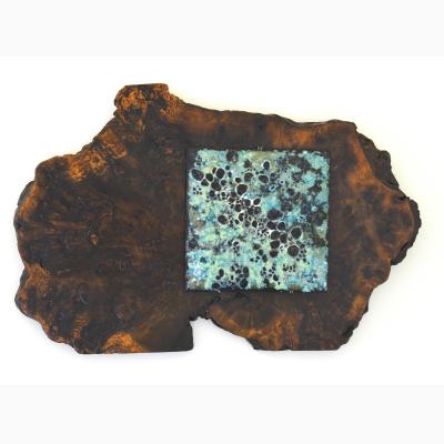 Member's Spotlight Exhibition: Teresa Olavarria: Lichen