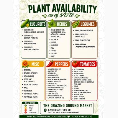 TGG Plant Sale