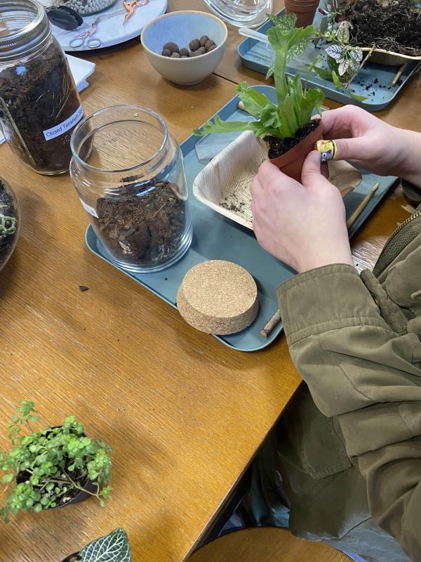 Terrarium Building at Now and Zen DIY Studio