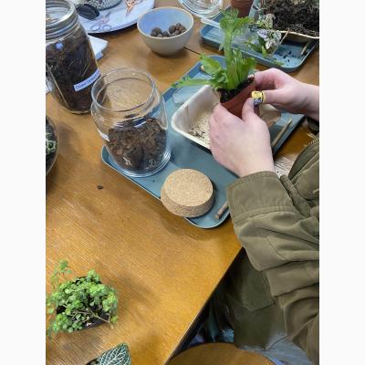 Terrarium Building at Now and Zen DIY Studio