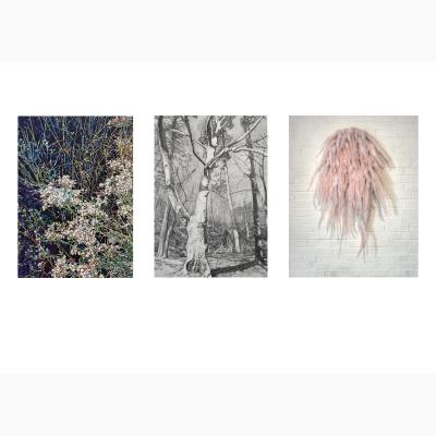 Liz Quay, Jayne Struble, and Kathy McGhee Exhibit Artwork at Sinclair Community College