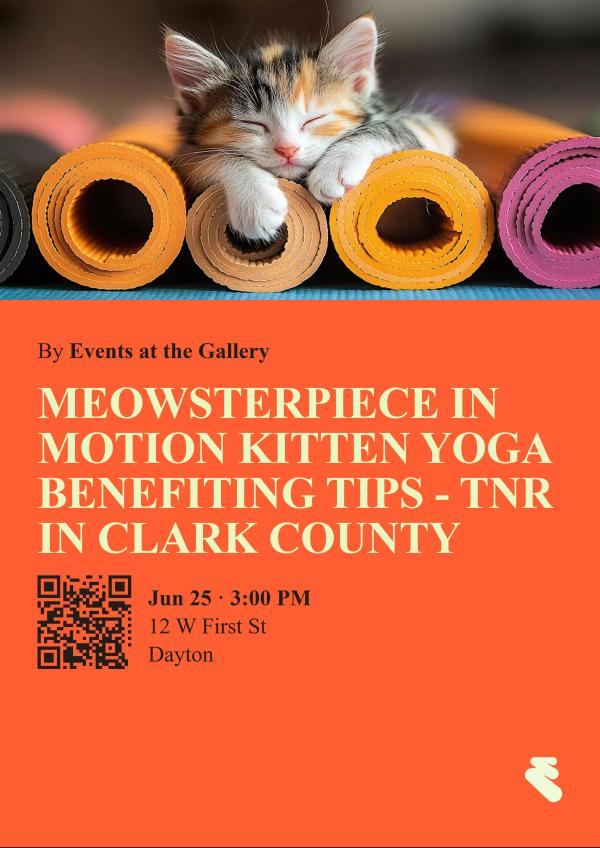 Meowsterpiece in Motion Kitten Yoga