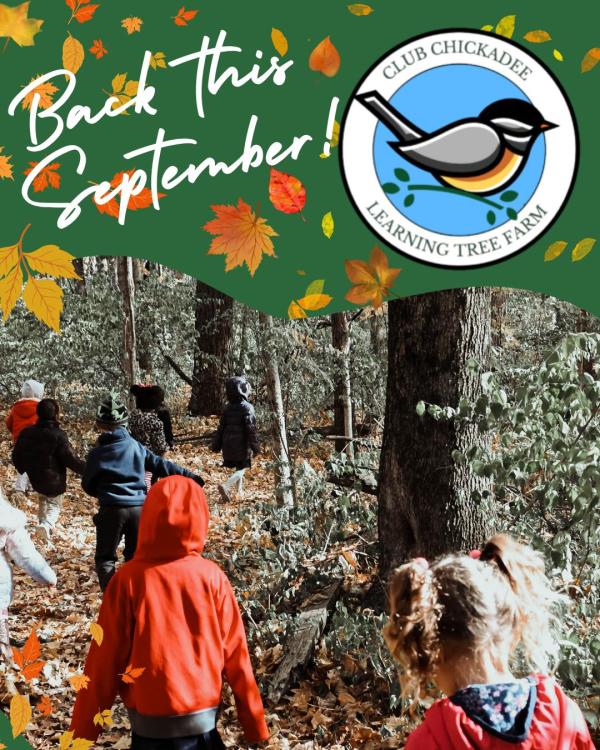 Club Chickadee at Learning Tree Farm