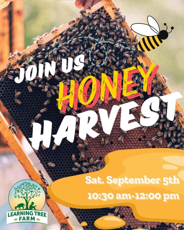 Honey Harvest 2026 at Learning Tree Farm