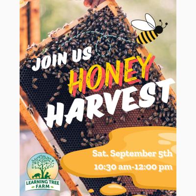 Honey Harvest 2026 at Learning Tree Farm