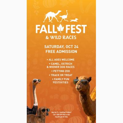 Fall Fest & Wild Races