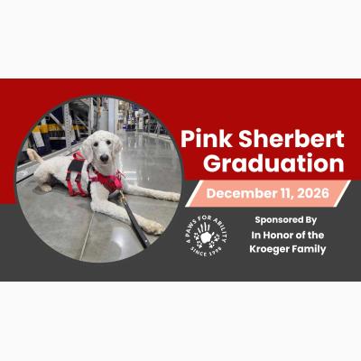 Pink Sherbert Service Dog Graduation | 4 Paws for Ability