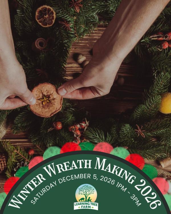 Winter Wreath making on the Farm